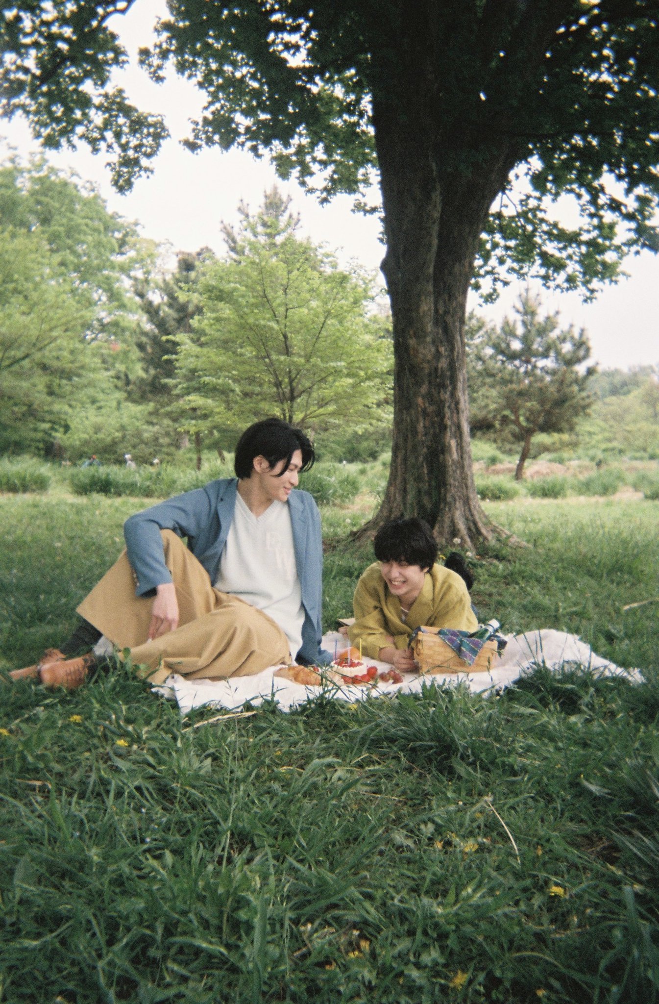Sakurashimeji さくらしめじ 髙田彪我 田中雅功 生写真 サイン Sakurashimeji Official on X: 