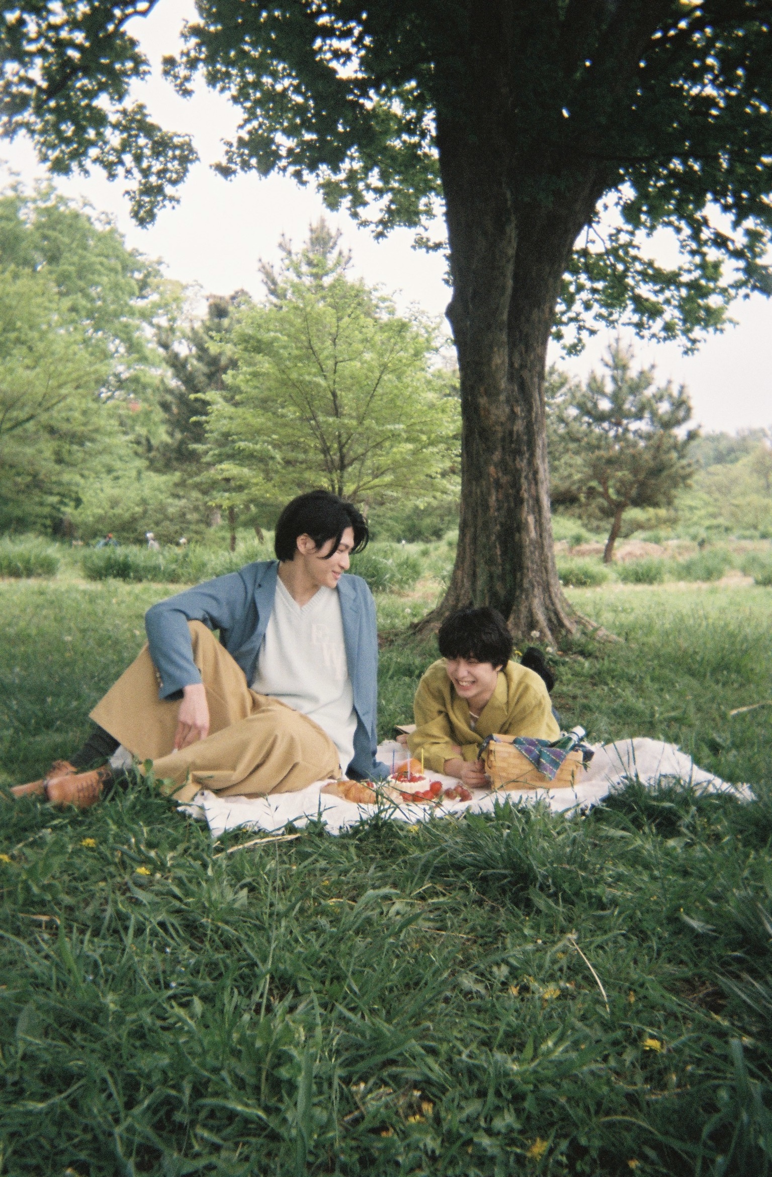 Sakurashimeji Official on X: 