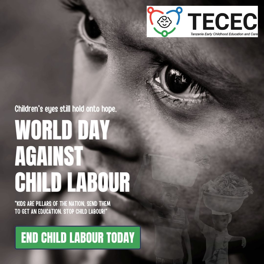 Tanzania Early Childhood Education and Care-TECEC tweet media