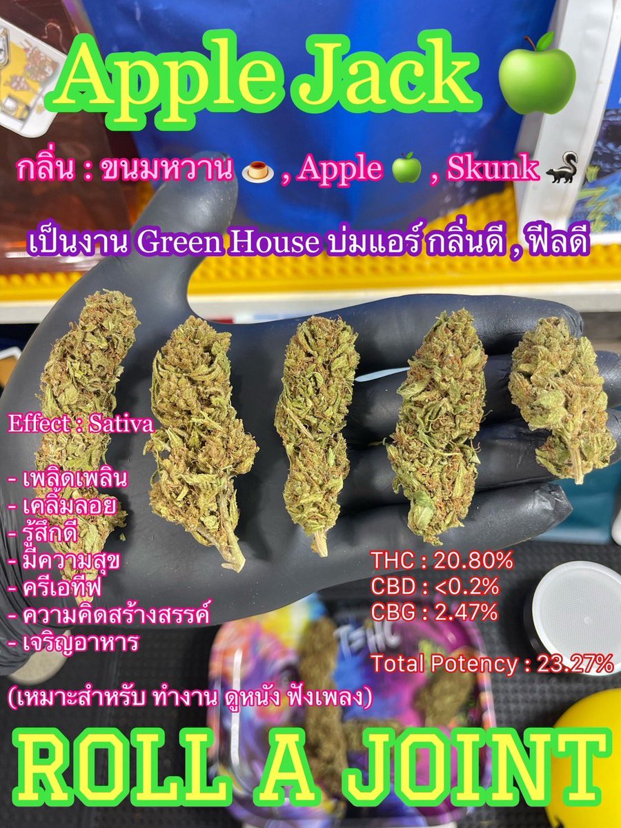 bobbgirl_'s tweet photo. งบน้อยๆแต่คุ้มค่าแน่นอน 😋

🍏 Apple Jack x 50
💣 THC Bomb x 50
= 1000

🛒 https://t.co/Cn7SLpZ4R8

#กัญชาออแกนิค #โอจี #กัญชาราคาถูก #กัญชาราคาส่ง #ขายกัญชา #กัญชากรุงเทพ #กัญชาเชียงใหม่ #กัญชาog #กัญชา #กัญชาตาก #กัญชาสระแก้ว #กัญชาขอนแก่น #กัญชาน่าน #กัญชากทม #พันลำ #ลีน #น้ำกระท่อม #กัญชาหาดใหญ่ #กัญชาพัทยา #กัญชาใต้ #กัญชารังสิต #กัญชาภูเก็ต #กัญชานอก #กัญชาโอจี #กัญชากำแพงเพชร #กัญชานครสวรรค์ #กัญชาไฟฟ้า  #กัญชาเชียงราย #กัญชาบางนา #กัญชารังสิต #กัญชาเอกมัย #กัญชาลาดกระบัง #กัญชาดินแดง #กัญชาทองหล่อ #กัญชาสุขุมวิท #กัญชาพระประแดง #กัญชาลาดพร้าว #กัญชาเอกมัย #กัญชาห้วยขวาง #กัญชาดินแดง #cannabisCommunity #OG #420hk