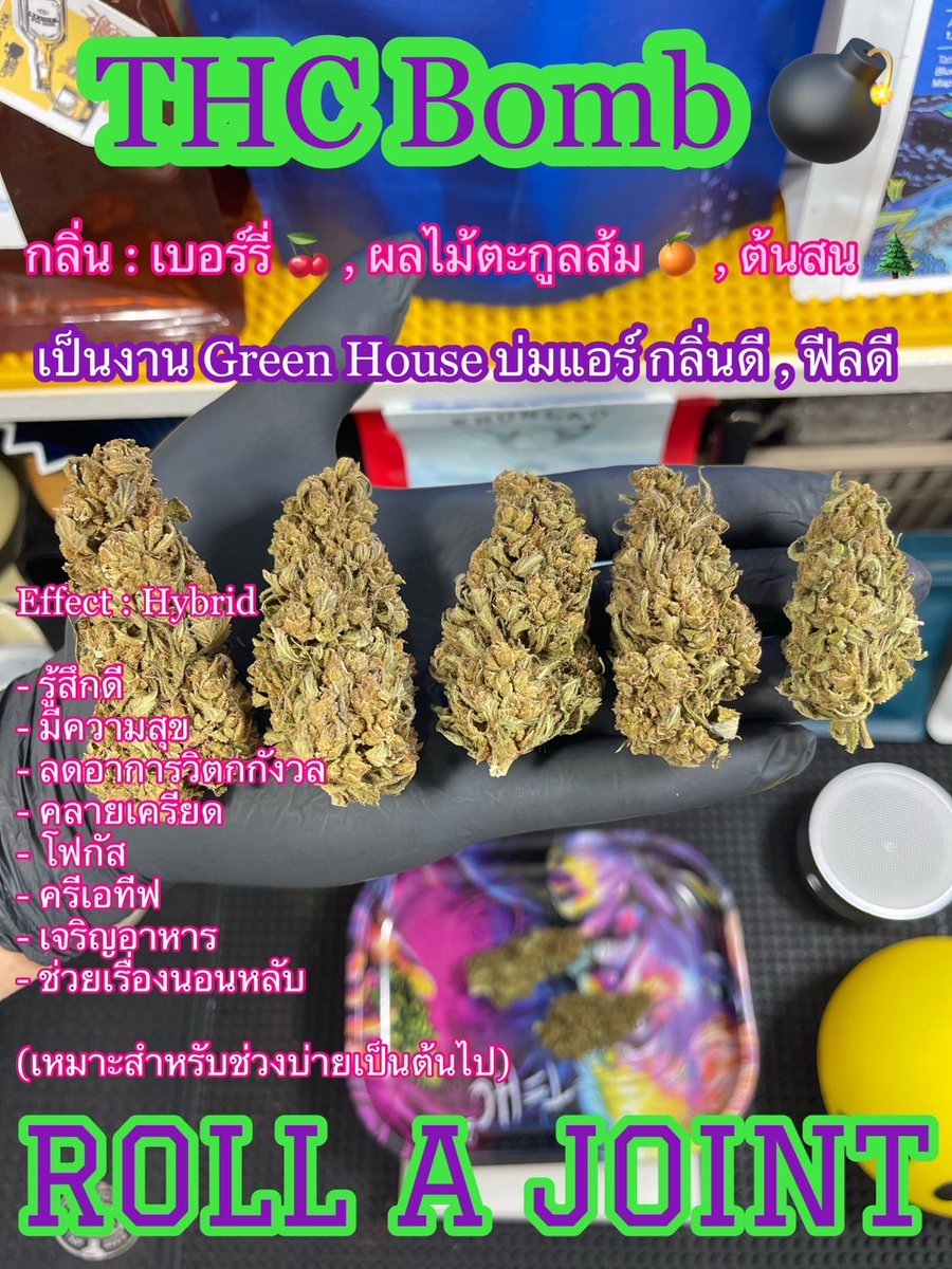 bobbgirl_'s tweet photo. งบน้อยๆแต่คุ้มค่าแน่นอน 😋

🍏 Apple Jack x 50
💣 THC Bomb x 50
= 1000

🛒 https://t.co/Cn7SLpZ4R8

#กัญชาออแกนิค #โอจี #กัญชาราคาถูก #กัญชาราคาส่ง #ขายกัญชา #กัญชากรุงเทพ #กัญชาเชียงใหม่ #กัญชาog #กัญชา #กัญชาตาก #กัญชาสระแก้ว #กัญชาขอนแก่น #กัญชาน่าน #กัญชากทม #พันลำ #ลีน #น้ำกระท่อม #กัญชาหาดใหญ่ #กัญชาพัทยา #กัญชาใต้ #กัญชารังสิต #กัญชาภูเก็ต #กัญชานอก #กัญชาโอจี #กัญชากำแพงเพชร #กัญชานครสวรรค์ #กัญชาไฟฟ้า  #กัญชาเชียงราย #กัญชาบางนา #กัญชารังสิต #กัญชาเอกมัย #กัญชาลาดกระบัง #กัญชาดินแดง #กัญชาทองหล่อ #กัญชาสุขุมวิท #กัญชาพระประแดง #กัญชาลาดพร้าว #กัญชาเอกมัย #กัญชาห้วยขวาง #กัญชาดินแดง #cannabisCommunity #OG #420hk