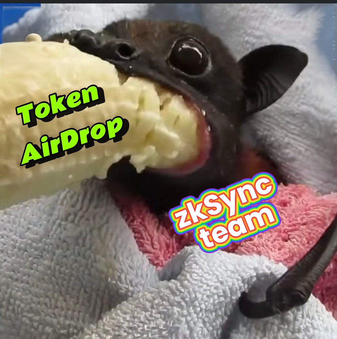 <a href="/VitalikButerin/">vitalik.eth</a> 3/∞ How did rats eat the @zkSync ship? 
The announcement of the #AirDrop by #zkSync shocked the community. During the distribution of $ZK tokens, the team engaged in insider game by allocating the bulk of the tokens to team-controlled wallets. Ready to see the details?👇