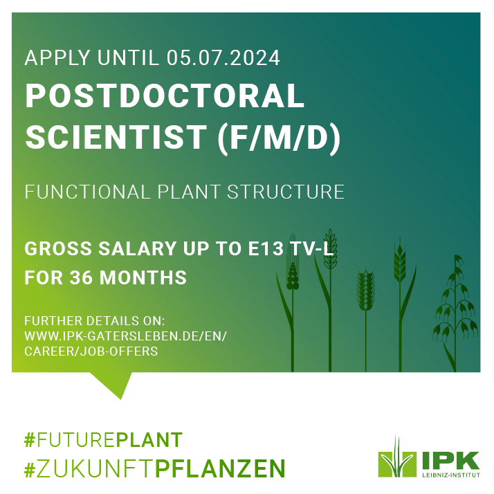 Leibniz IPK (@leibnizipk) on Twitter photo You have a PhD in plant biology or agricultural science? And you have experience in microscopy, cell biology and molecular biology? Then we have a job offer in the <a href="/dfg_public/">DFG public | @dfg_public@wisskomm.social</a> Emmy Noether Group “Functional Plant Structure” at <a href="/LeibnizIPK/">Leibniz IPK</a>.
➡️Read more: tinyurl.com/36fvfhe5 You have a PhD in plant biology or agricultural science? And you have experience in microscopy, cell biology and molecular biology? Then we have a job offer in the <a href="/dfg_public/">DFG public | @dfg_public@wisskomm.social</a> Emmy Noether Group “Functional Plant Structure” at <a href="/LeibnizIPK/">Leibniz IPK</a>.
➡️Read more: tinyurl.com/36fvfhe5