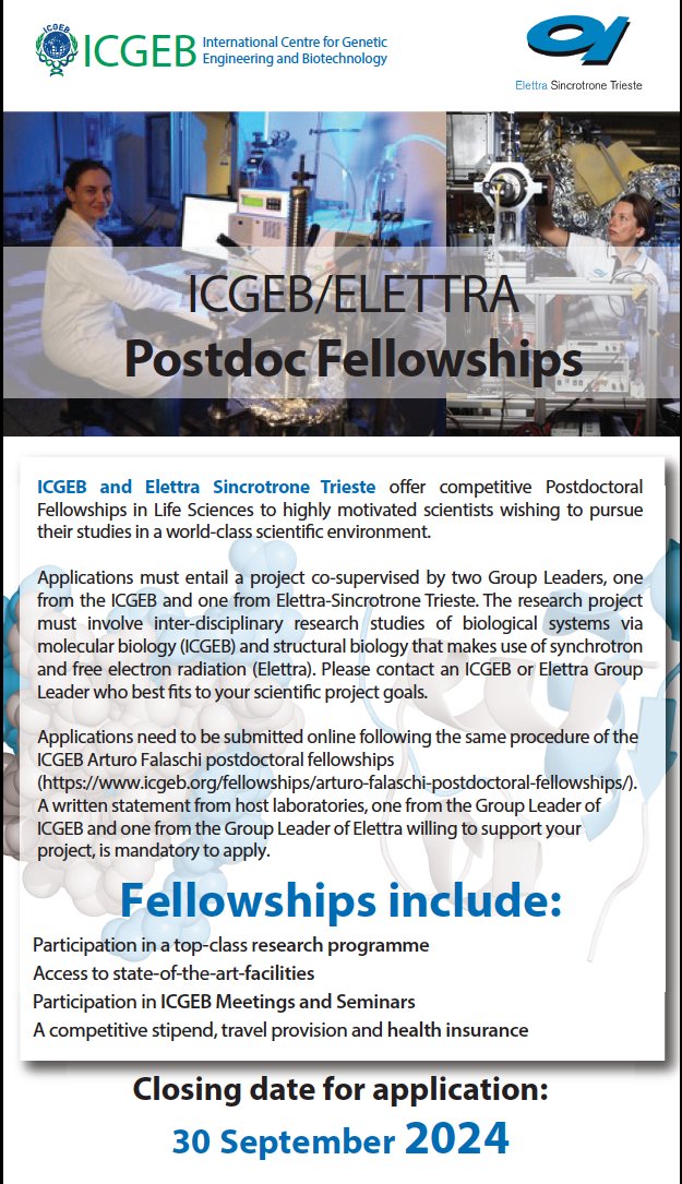 ICGEB's tweet photo. ICGEB #Fellowships Call is now open, with additional opportunities for joint Postdoctoral studies with @elettrasincro 
📌 Closing date for applications: 30 September 2024
ℹ️ ICGEB Postdoctoral Fellowships https://t.co/QTeRBOkpwd https://t.co/SMF1H9lhZD