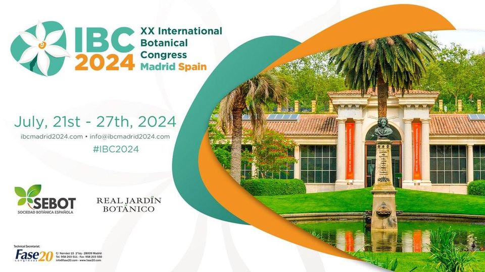 IBC2024 tweet media