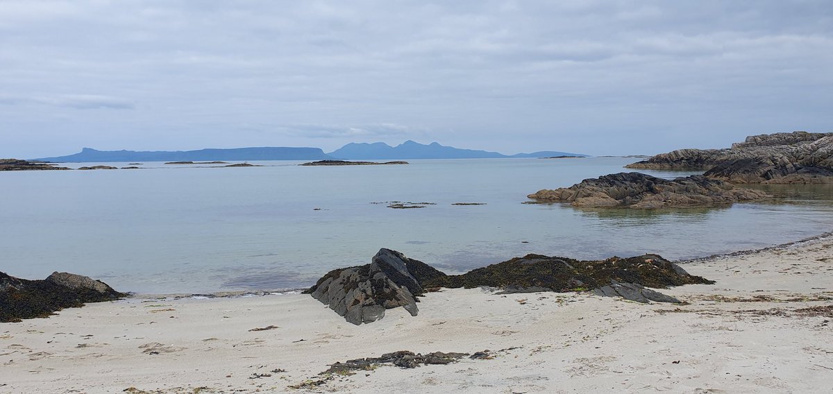 Suzie Fisher tweet media