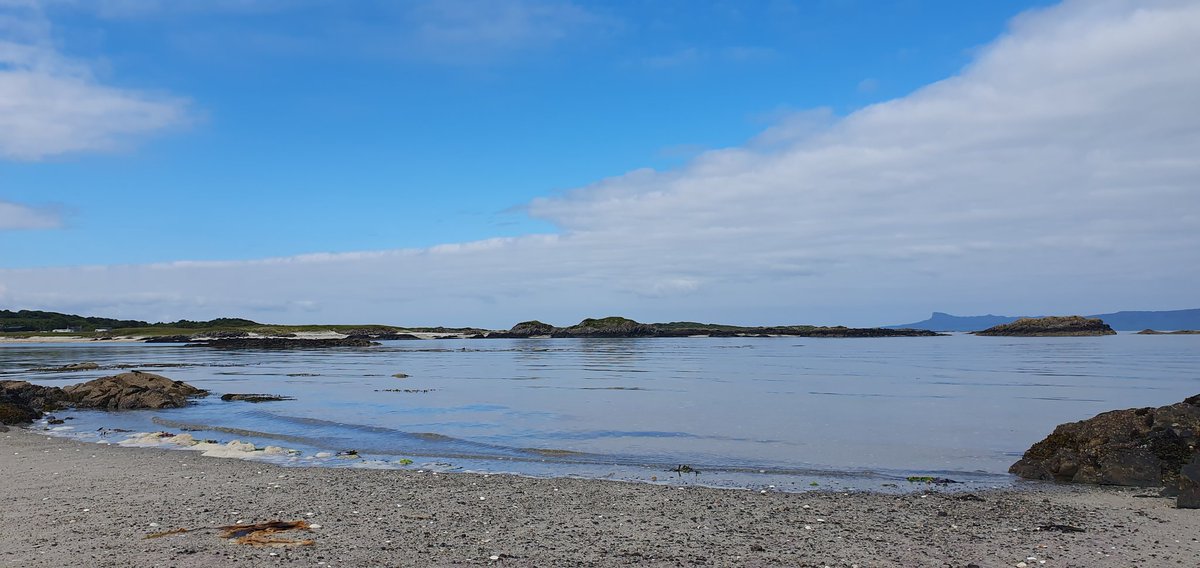 Suzie Fisher tweet media