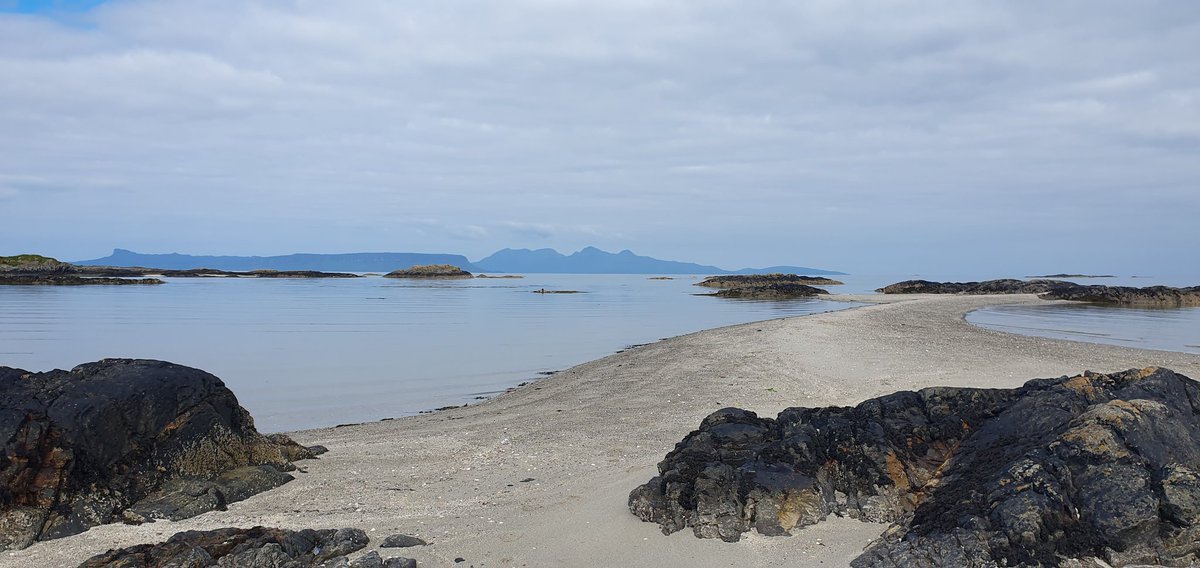 Suzie Fisher tweet media