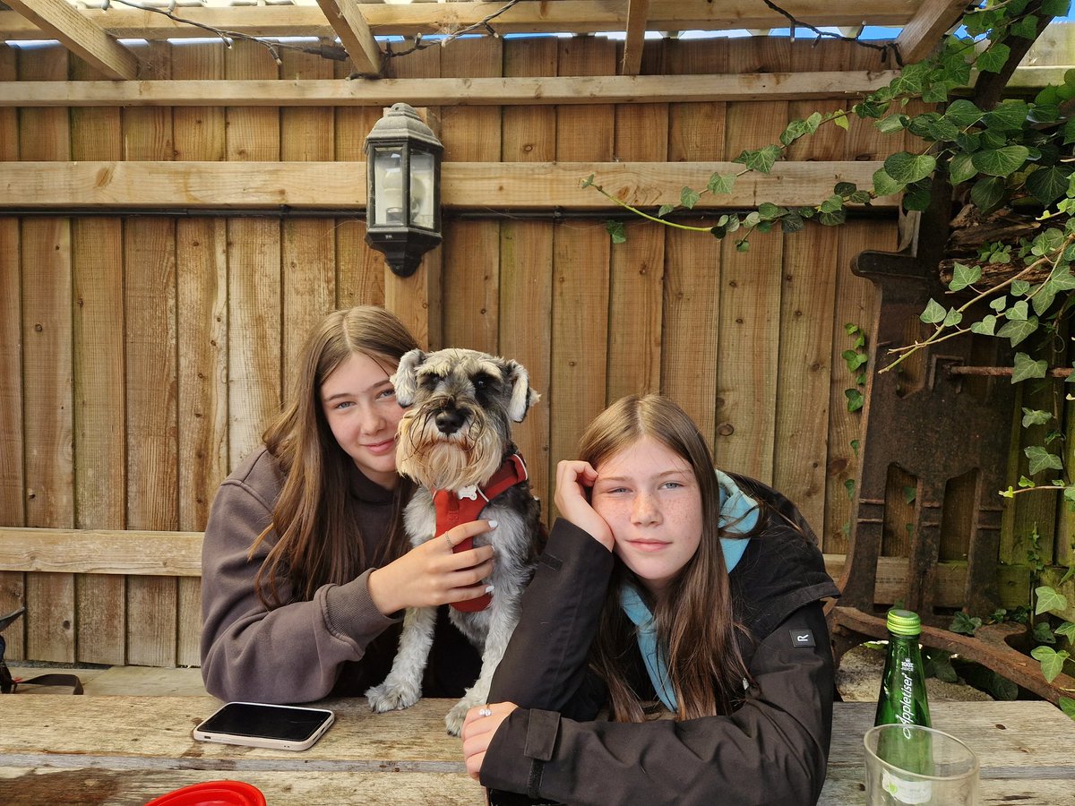 My gotcha anniversary day today! Going to celebrate with a big bark in the garden, then a pork pie 'cake' with my hoosis later on.