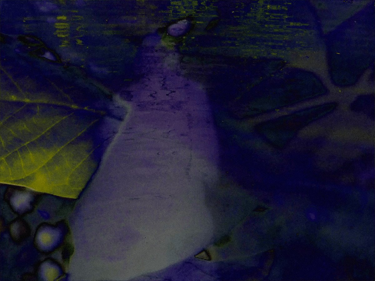 expcinema's tweet photo. CJC#11: Camille Simon Baudry - Retrospective in 5 films. June 20th, 20h - Cinéma le Grand Action, Paris https://t.co/wB9EpO1NIj https://t.co/e3TJO0RVM0