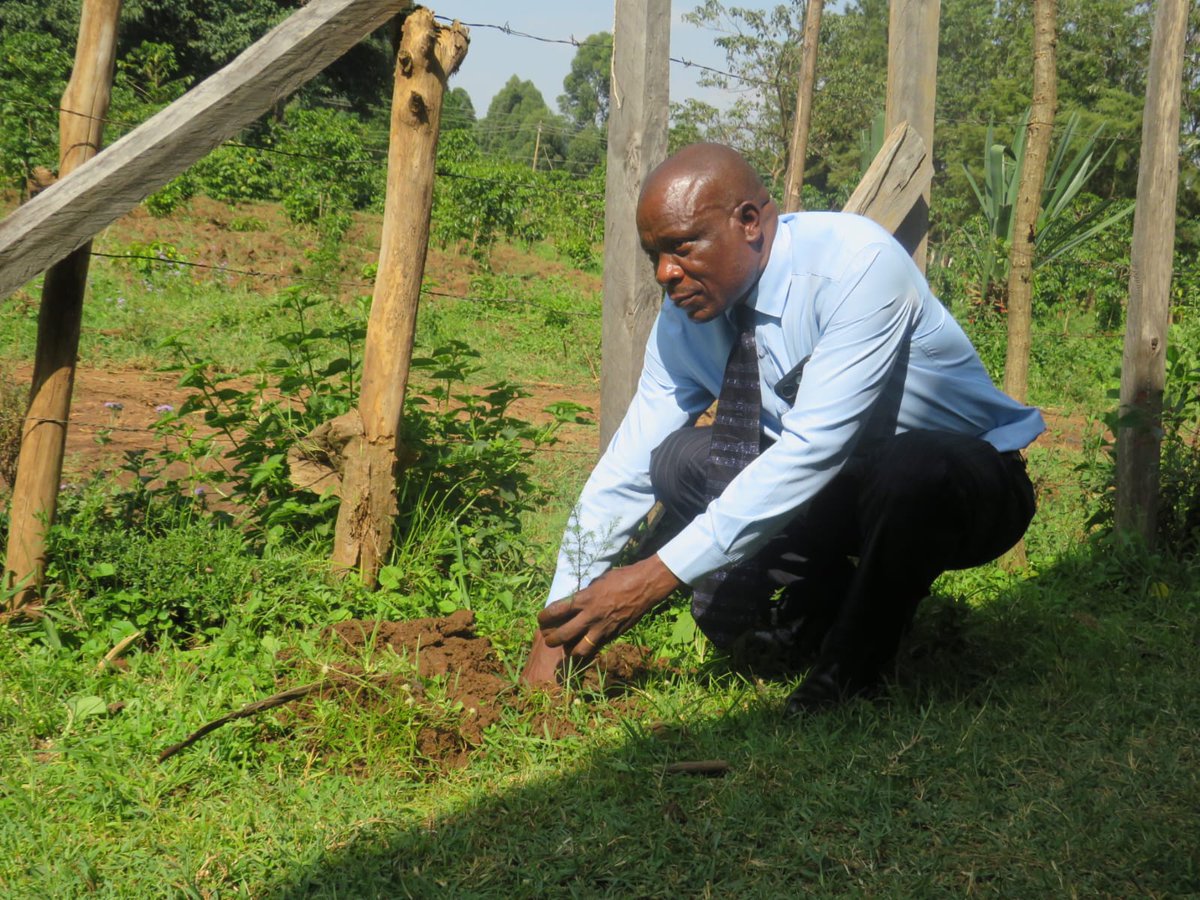 EcoaceOrg's tweet photo. Happy #Wednesday from Eco-Ace Org! 🌳 Today, we're focusing on Kimilili. Join us in planting trees to combat climate change and support the local community. Let's grow a greener, healthier future together! 

#TreePlanting #EcoAceOrg #GreeningKimilili Malawi
#MainaAndKingangi https://t.co/Jtwsbbnzl2