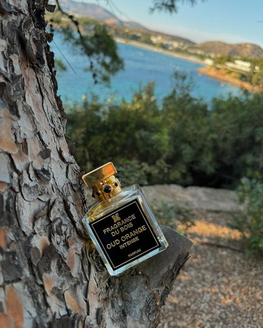 rosinaperfumery's tweet photo. Fragrance du Bois
OUD ORANGE INTENSE 📷
Oud Orange Intense, a sensual journey of complex, warm musky notes, is comforting, indulgent and energetic, reminiscent of basking on a beach in warm sunshine.
#oudorange #fragrancedubois #rosinaperfumery #matsuhisa #astir #fourseasons https://t.co/0oiif4qr8B