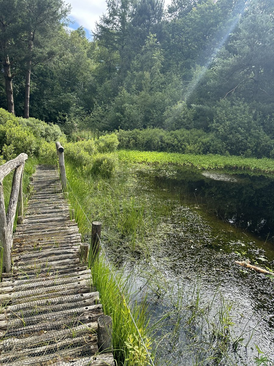 Wandelen aan… en dat in het mooie Made! <a href="/Drimmelen140162/">Gemeente Drimmelen</a>