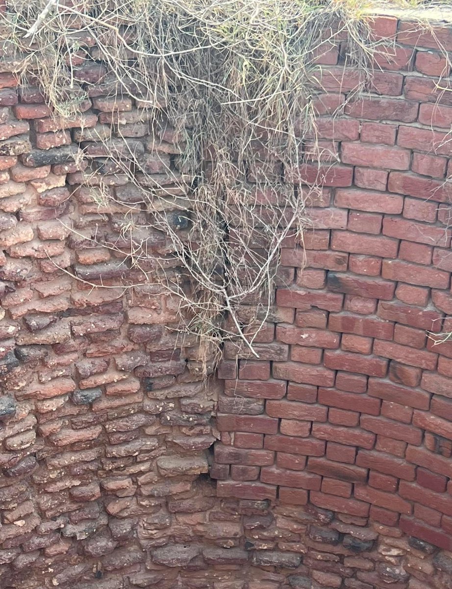 iamgurparvesh66's tweet photo. 82 : Serai Dagru opposite Side of Dagru Railway Crossing on Moga-Ferozepore Road

(Only Ruined Well Left, During childhoot i saw there were rooms also ,Now Nothing left.
 Badly Ruined Well needs to be repaired

Serai was built by Sher Shar Suri in  1543  
#Moga #Heritage #Dagru https://t.co/UGqTcBMUwY