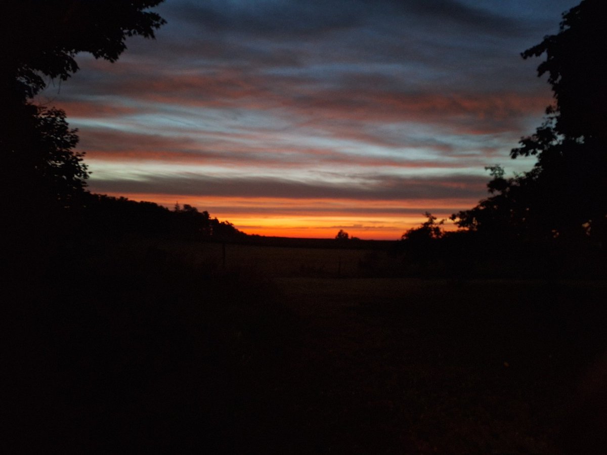 Nature says, 'Good morning'
#coloursofnature