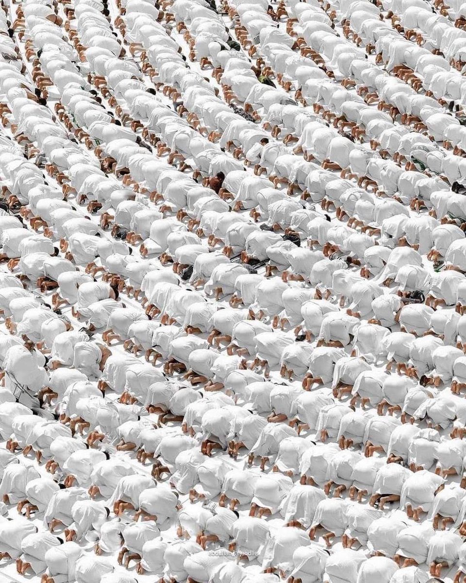 (ادْخُلُوهَا بِسَلَامٍ آمِنِينَ)