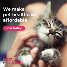 Dragon_Vets's tweet photo. Don't forget, as a Pet Health Club member you could be saving over £242 a year on your pet's routine healthcare.
Remember to take full advantage of all your plan benefits!

Join today: https://t.co/mzRP5IvhKG https://t.co/Vr1lAG0myv