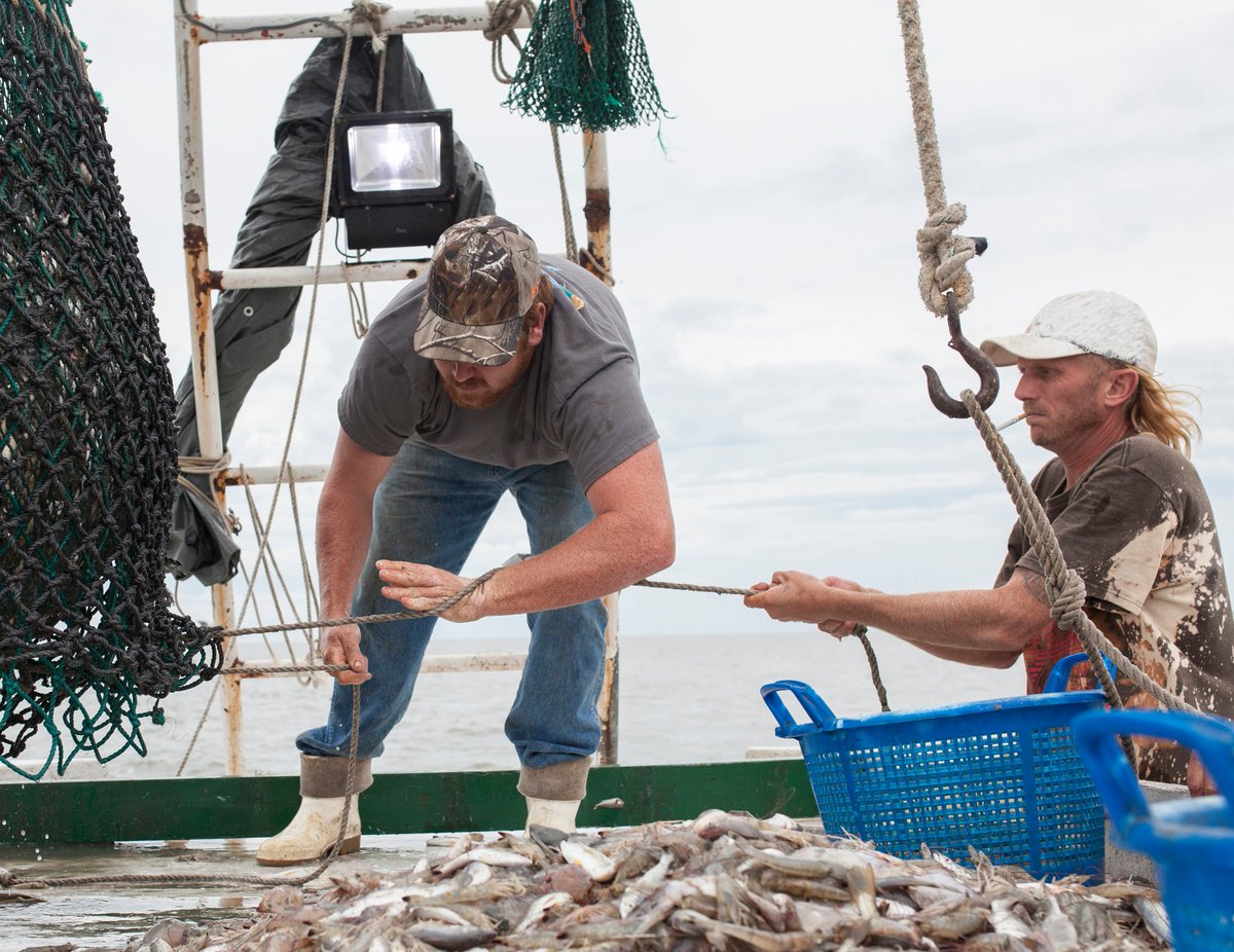 EU_MARE's tweet photo. Help us assess the performance of fisheries &amp; maritime funds!

Give us examples on the use of #EMFF &amp; #EMFAF funds from 2014 until 2024

EMFF➡️https://t.co/5BPMUi2Q6r
EMFAF➡️https://t.co/P5W5zj2H7c

A questionnaire will follow in the coming weeks📜⬇️
https://t.co/eT47bpgWNr https://t.co/UHZFHEdss4