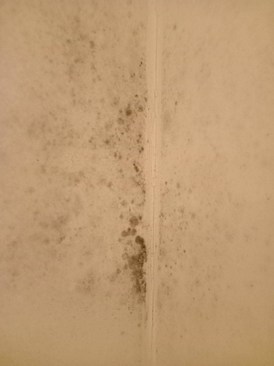 Nags Head Tenants tweet media