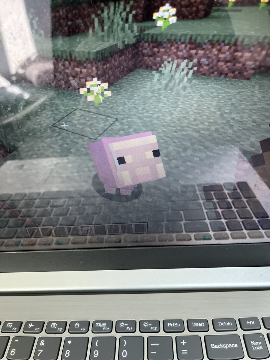BaruthIdo66191's tweet photo. @Minecraft https://t.co/5TOJYvQBEW