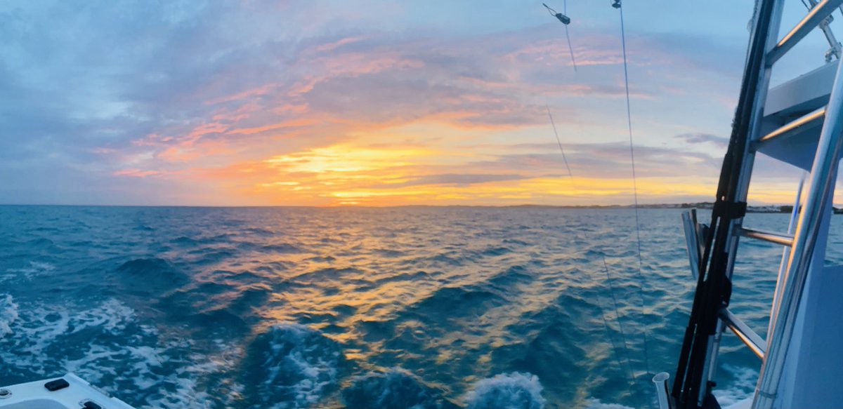 seawolfefishing's tweet photo. Bermudafull start! #seawolfesportfishing #cookyourcatch #Bermudafull #sunrise https://t.co/cGQB81nHgG