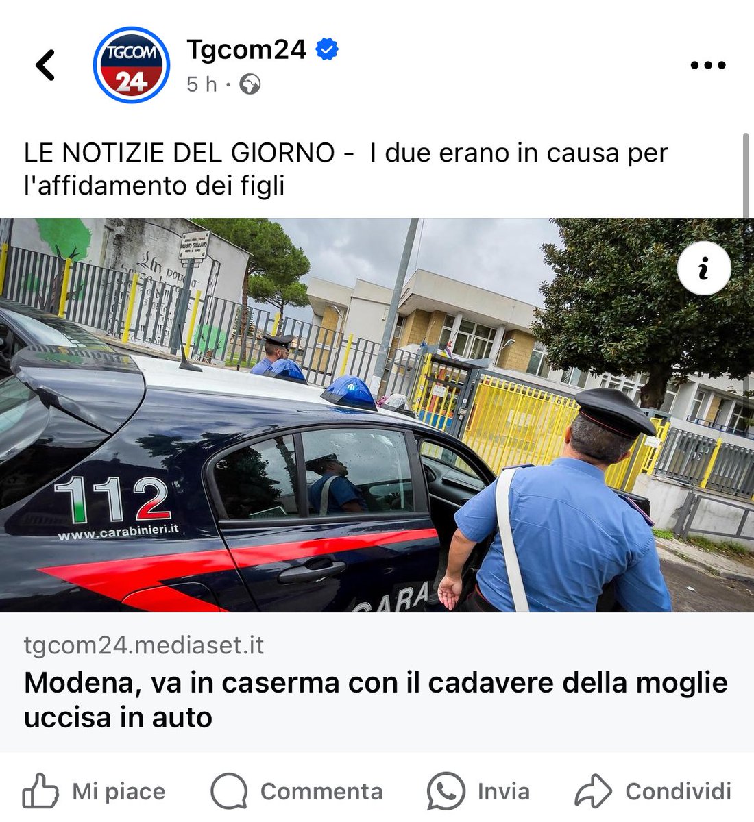 Fab 🫒🍸 tweet media