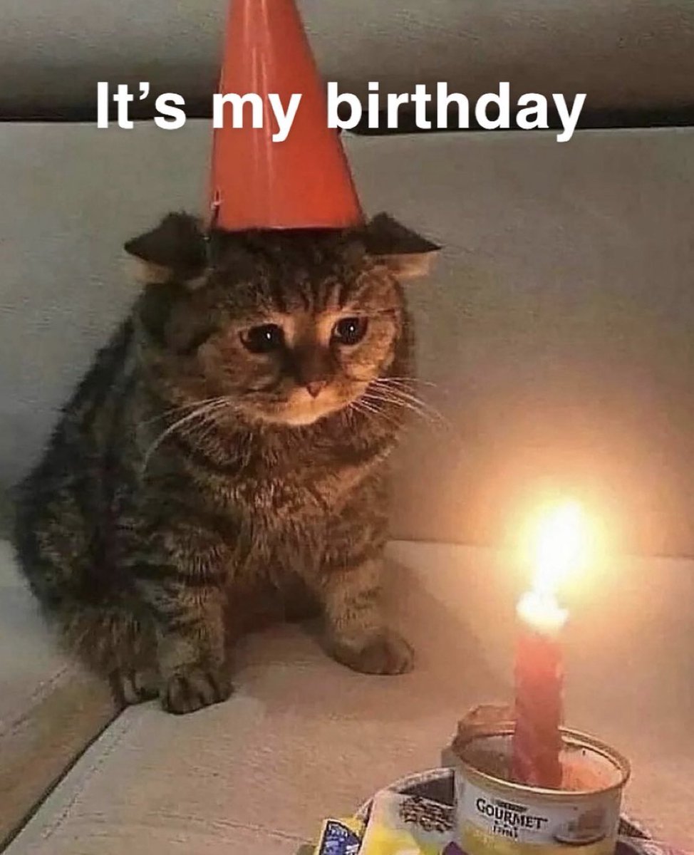 throwafight's tweet photo. 23 🥳 yayy https://t.co/HrnmtLVkDR