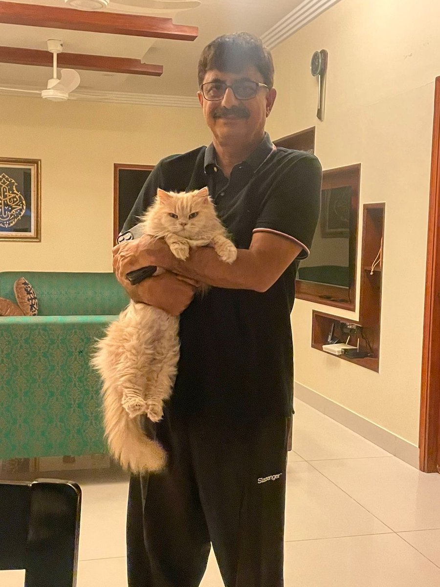 My sister couldn’t a find a nice photo of us siblings for a photo book she’s trying to get made for our dad so she’s settled on this. 
It’s either a good photo of his children vs just him and our cat- and clearly cat won