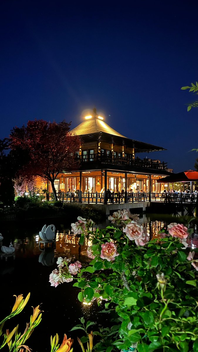 bilgetekelii's tweet photo. #japonparkı https://t.co/1G1aLlXlV9