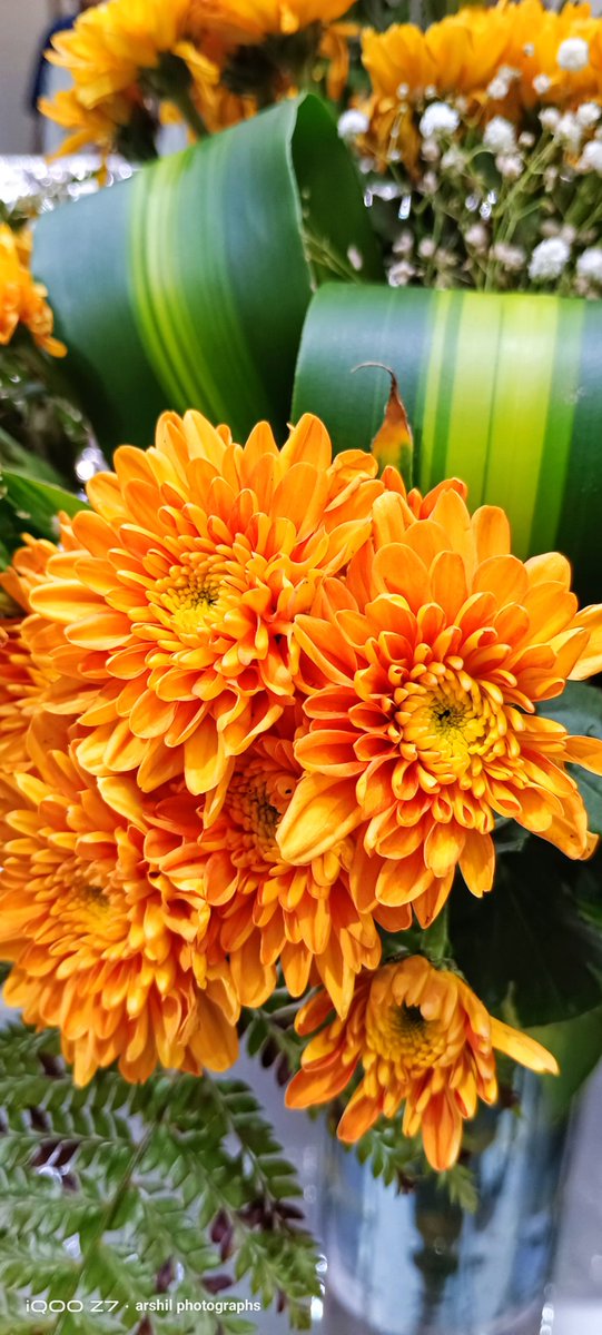 ArshilS72216755's tweet image. #ShotOniQOO | Floral Photography

#FeatureMeOnSocial 
#iQOOZ75G 
@IqooInd 
@nipunmarya 
@parakram_h