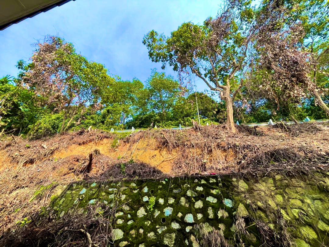 INFRASEL tweet media