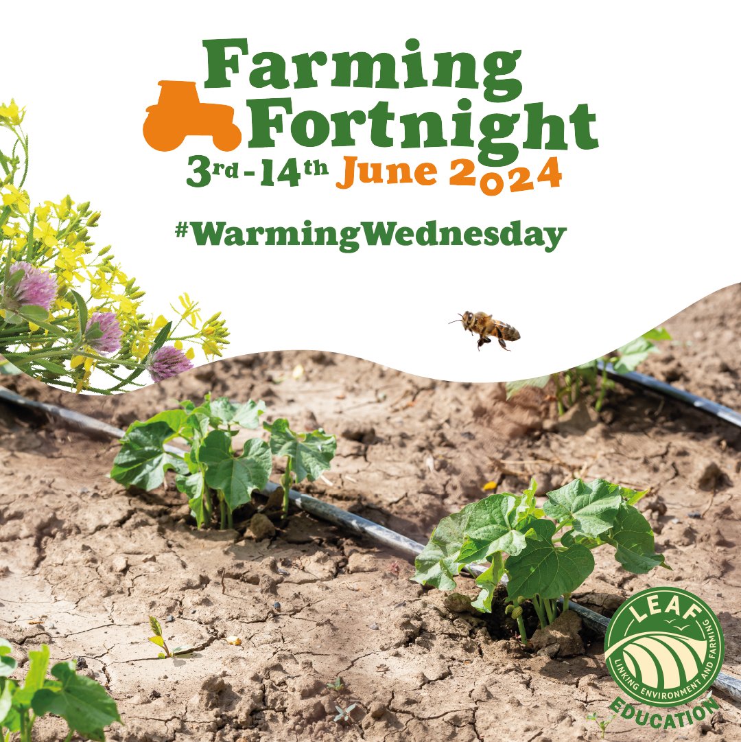 LEAF Education tweet media