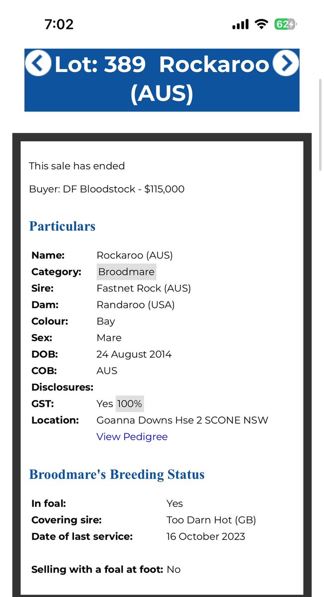 Oh she is hot and she is in foal to the sire on fire “Too Darn Hot” Very happy to secure lot 389 Rockaroo on this weeks Inglis digital sale for a loyal client. She throws cracking types and I can’t wait to see what the futures holds.