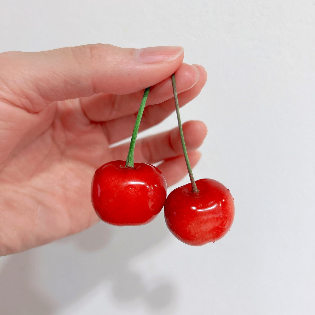 今年の初ものキター！！
甘酸っぱいさくらんぼ🍒

今日も今日とて、案件応募！
どうなるかなぁ✨️