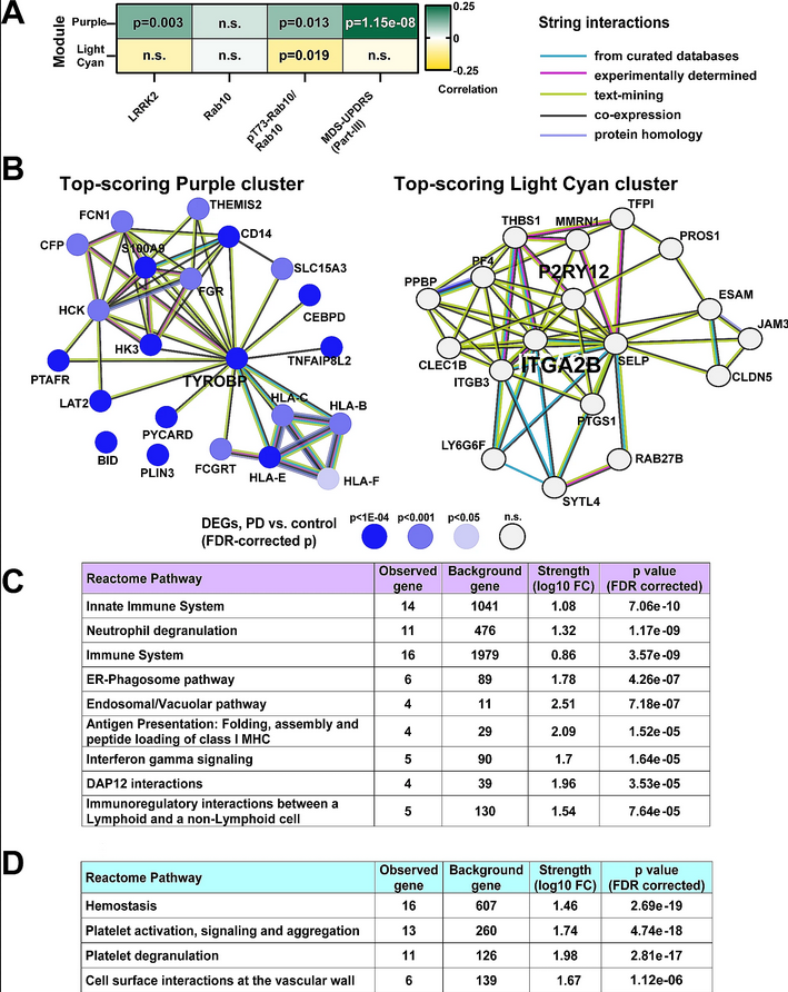 The Science of Parkinson's (@scienceofpd) on Twitter photo New paper from <a href="/DukeWestLab/">West Laboratory</a> et al present an ultra-sensitive version of a SiMOA (single-molecule array assay) for measures of LRRK2 kinase activity in serum linking #Parkinsons severity to peripheral inflam.; Accurate measures of pT73-Rab10 to total Rab10
…arneurodegeneration.biomedcentral.com/articles/10.11… New paper from <a href="/DukeWestLab/">West Laboratory</a> et al present an ultra-sensitive version of a SiMOA (single-molecule array assay) for measures of LRRK2 kinase activity in serum linking #Parkinsons severity to peripheral inflam.; Accurate measures of pT73-Rab10 to total Rab10
…arneurodegeneration.biomedcentral.com/articles/10.11…