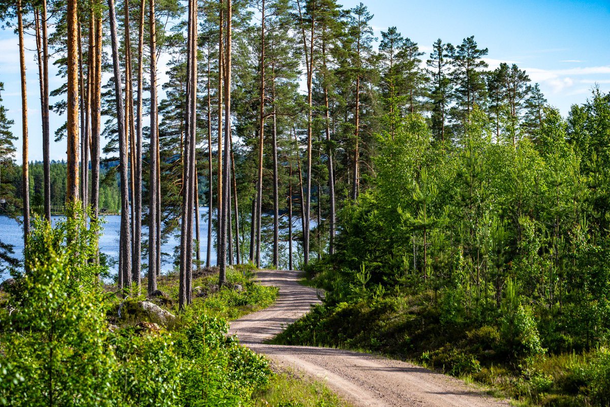 MSesks's tweet photo. Warmup at PET completed. Now onto recce! 👀
🇸🇪@ERCRoyalRally June 13-15
#ERC
#Sesks #Francis
#MRFRacing #MRFTyresEurope #SRT
#LatvijasMobilaisTelefons #11lv #StorentLatvia #OtankiMill #Virši #Terrabalt #Miķelis #Goldgroup #RedbullLatvia https://t.co/LtrBEC1ueQ