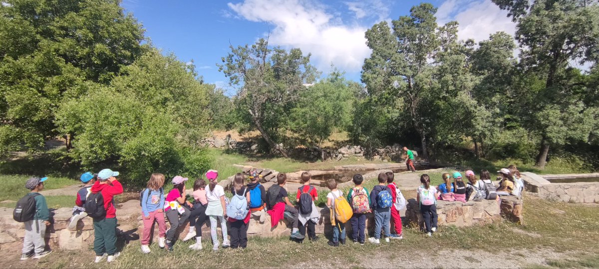 IvanHBST tweet media