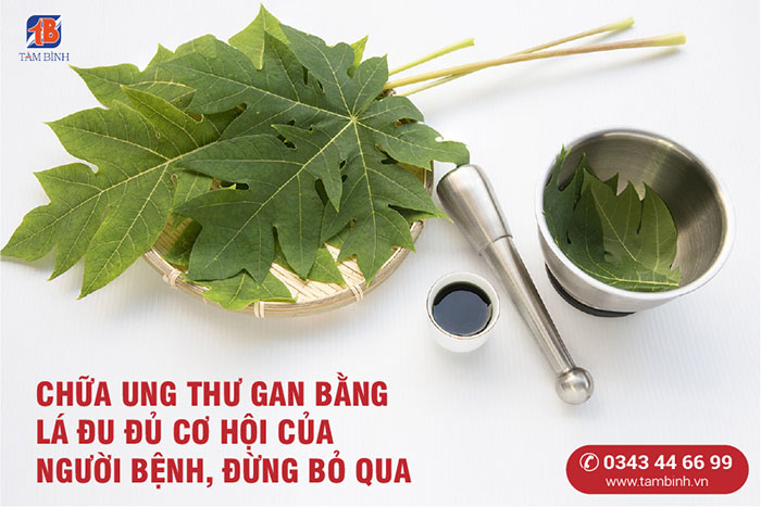 hòa thân tweet media