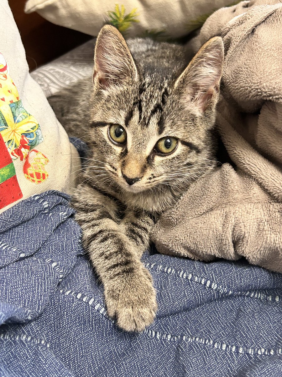 Моя малютка🥰🥰🥰