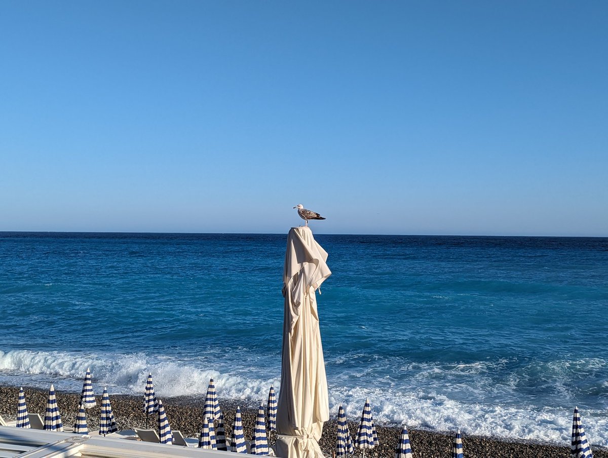 Excited for the @DRUIDsociety conf by <a href="/SKEMA_BS/">SKEMA Business School</a> <a href="/GREDEG_UMR/">GREDEG</a> <a href="/Univ_CotedAzur/">Université Côte d'Azur</a> to kick off! Join me tomorrow, <a href="/EUR_ELMI/">EUR_ELMI Économie et Management</a>, at the session on Industrial Dynamics to show you my latest research on healthcare procurement and AI-powered medical devices <a href="/michelepezzoni/">michele pezzoni</a> <a href="/jackie_krafft/">Jackie Krafft</a>