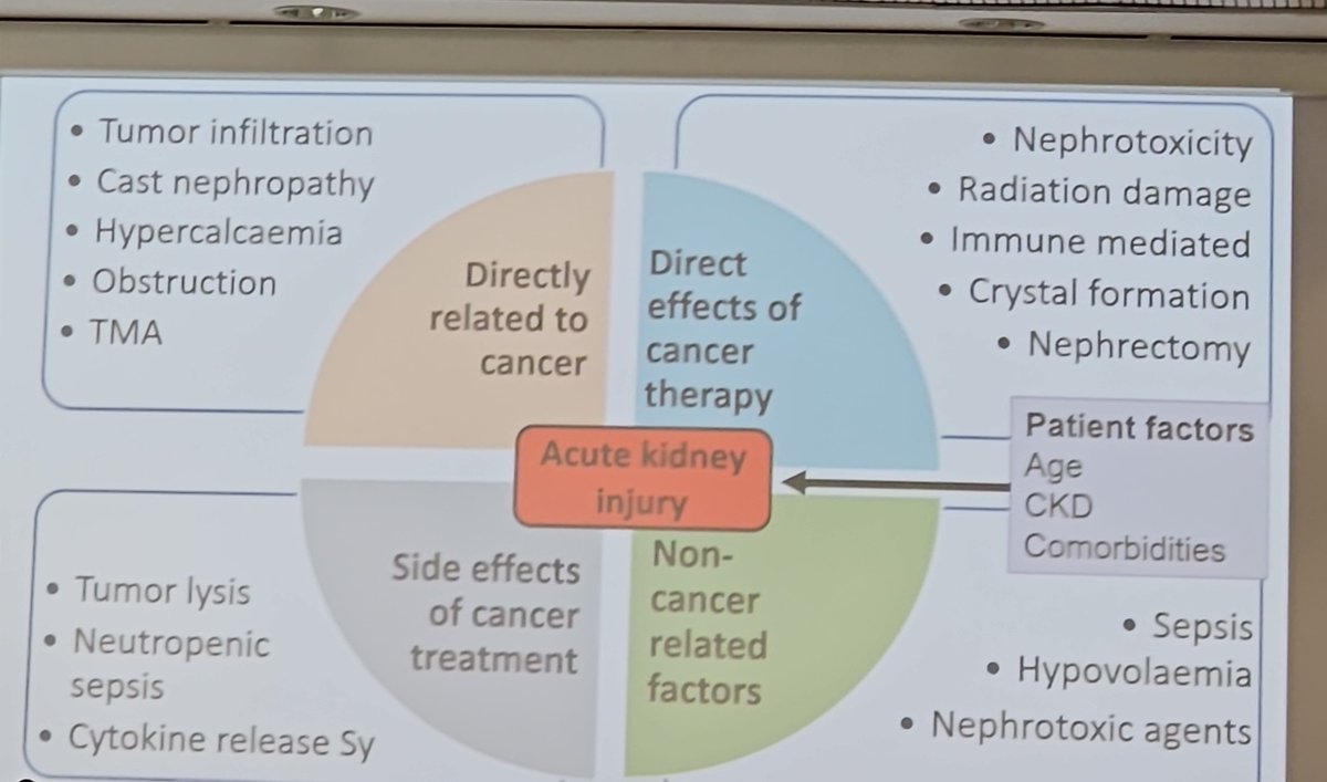 JenZ of BioPorto (NGAL) (@jenz4ngal) on Twitter photo Oncology patients - kidney considerations are important and a growing area. Thanks to Dr. Mitch Rozner and <a href="/MarliesOst/">Marlies Ostermann</a> at #vicenzacourse Oncology patients - kidney considerations are important and a growing area. Thanks to Dr. Mitch Rozner and <a href="/MarliesOst/">Marlies Ostermann</a> at #vicenzacourse