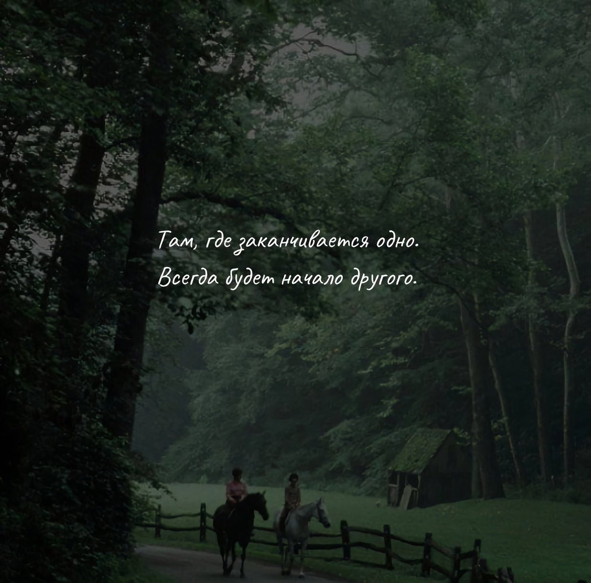 5 умных мыслей (@5umm) on Twitter photo 