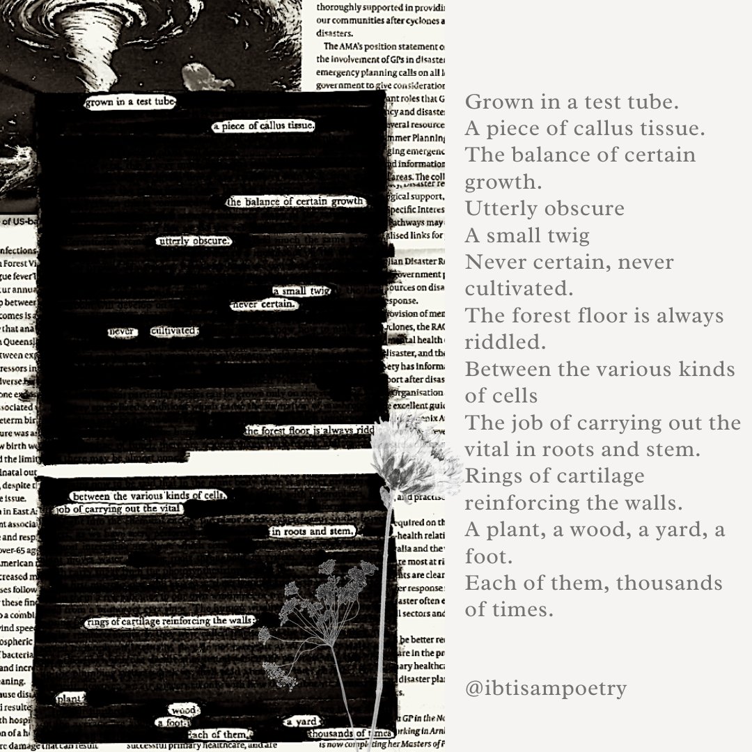 Blackout Poetry