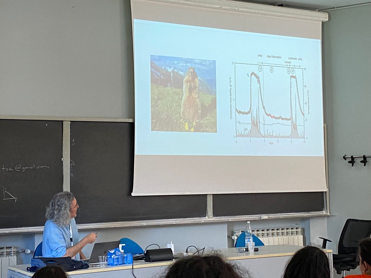 Hibernation: exploiting hypometabolism for space and medical applications - Matteo Cerri
