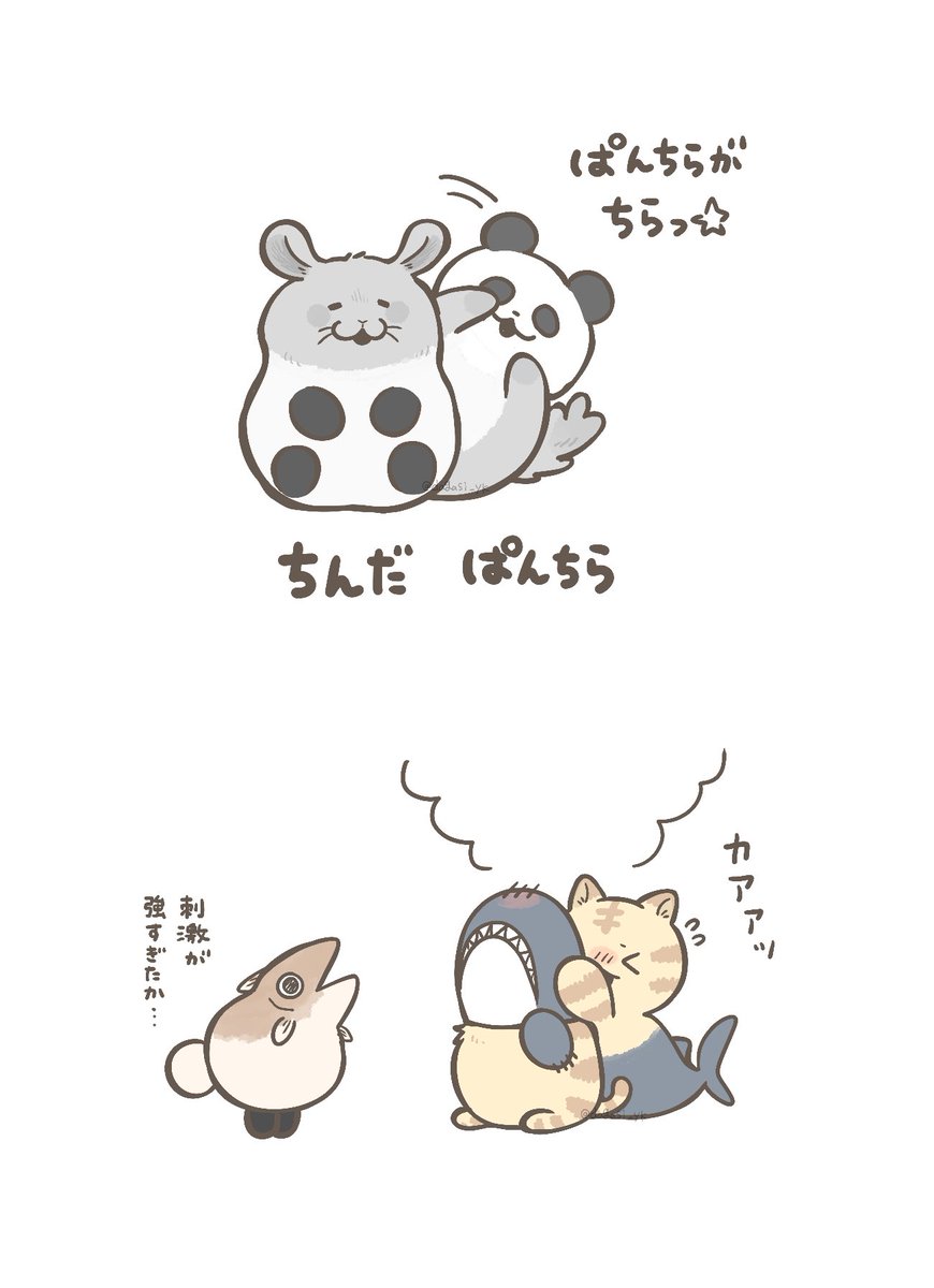 ちらっ #かわいいキメラ 