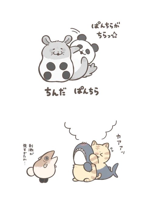 ちらっ #かわいいキメラ 