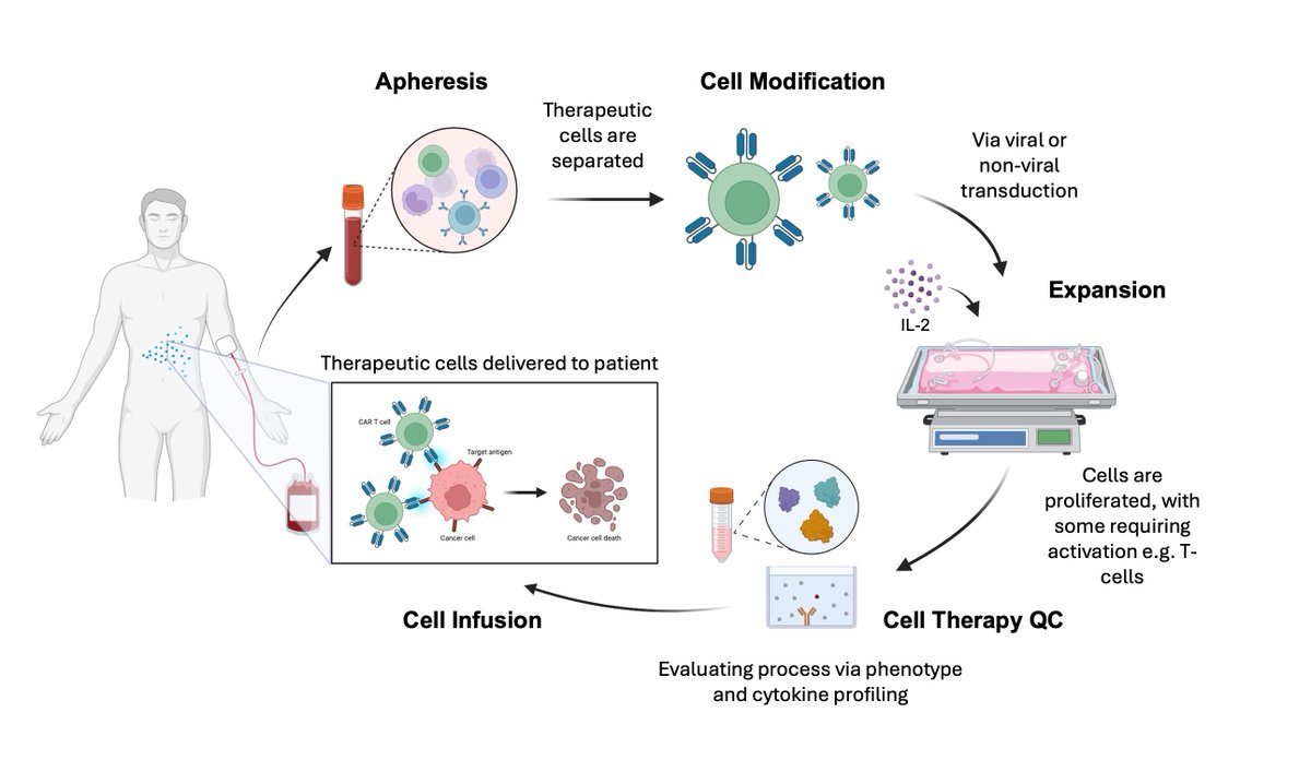 Imen Boumar (@imenalscientist) on Twitter photo (2/3) Cell therapy (CT) so far has provided life-saving cures for many illnesses that were previously untreatable through traditional medicines. But it is still too expensive, and automating the CT manufacturing process is one way to reduce costs. #biosensors <a href="/ZimmerPeacock/">ZimmerandPeacock</a> (2/3) Cell therapy (CT) so far has provided life-saving cures for many illnesses that were previously untreatable through traditional medicines. But it is still too expensive, and automating the CT manufacturing process is one way to reduce costs. #biosensors <a href="/ZimmerPeacock/">ZimmerandPeacock</a>