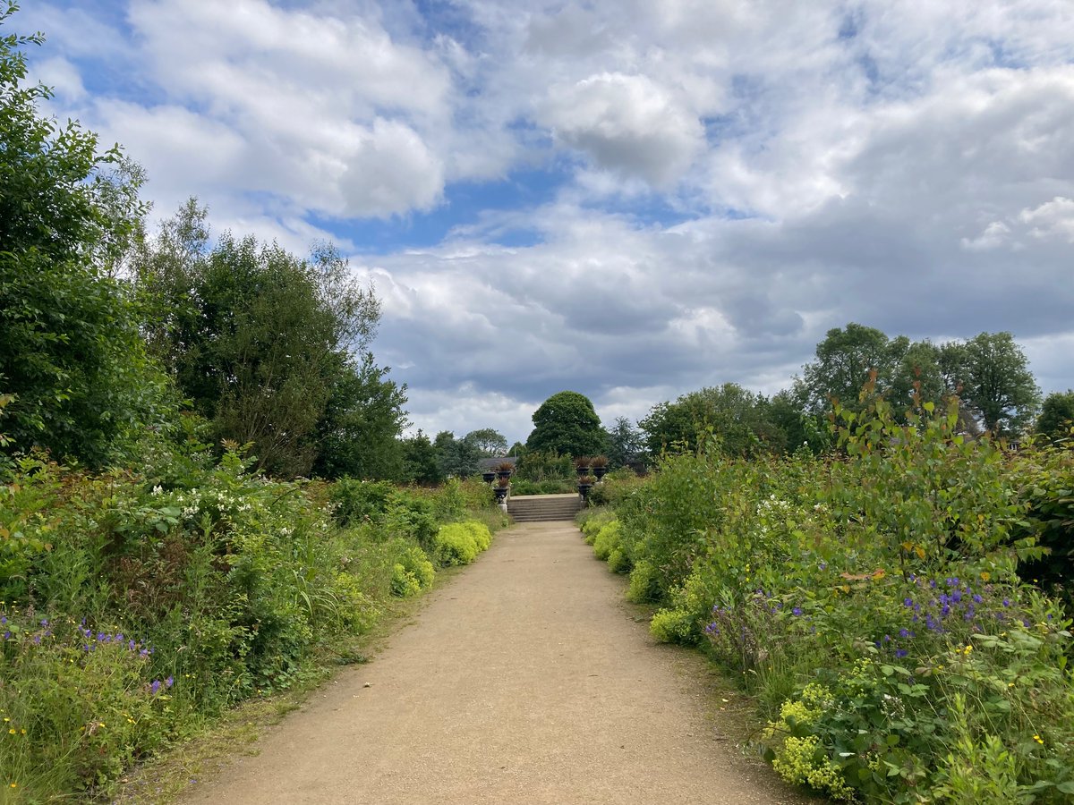 Taking a break from #RCOT2024 to attend a GP appointment - appreciated the opportunity for an active and mindful break through the local park 🏕️