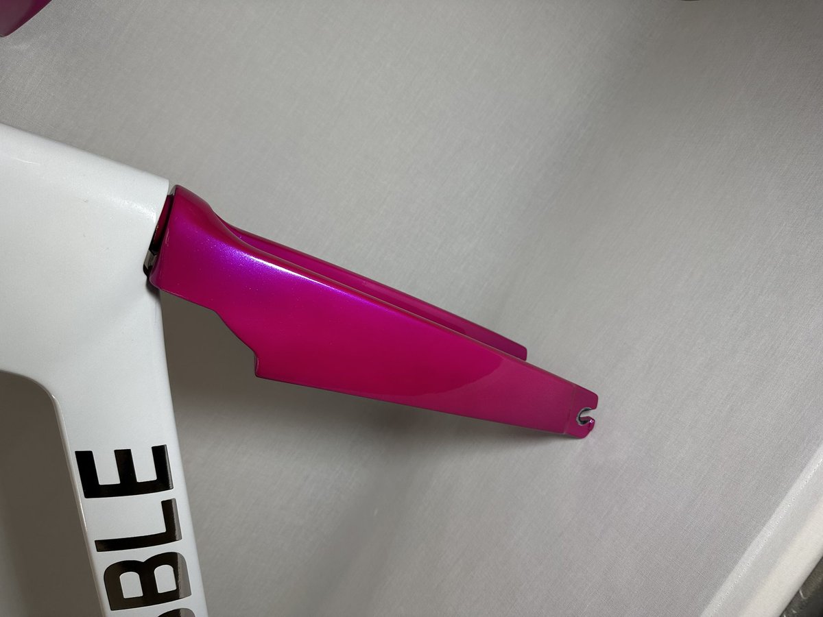 Bold Designs tweet media