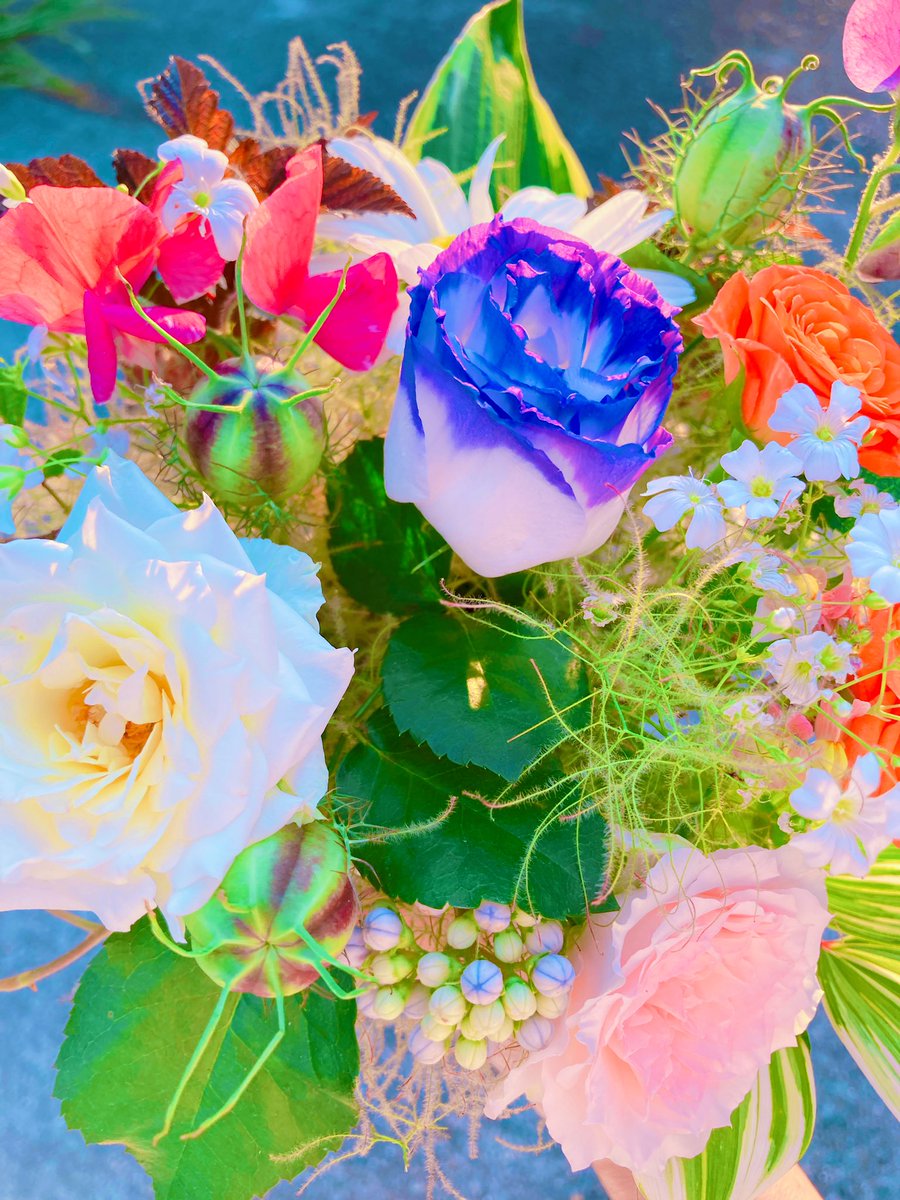 yuca1875699's tweet photo. 今日のレクで残った
フラワーアレンジメント💐✨
頂いて帰って来た🤭　#介護職　#お花 https://t.co/T5iPH4WVd1